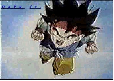 gokujr.jpg