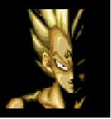 majinvegeta.jpg